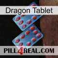 Dragon Tablet 05